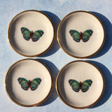 Green Butterfly Large Trinket Dish