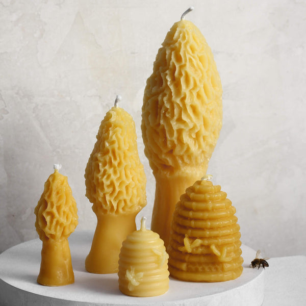 A honeybee next to handmade beeswax candles shaped like realistic morel mushrooms and beehives 