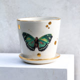 Emerald Green Butterfly Medium Planter
