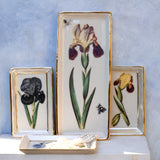 Garden Tray (Iris 2 with Bee and Dragonfly)