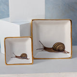 Snail Dish