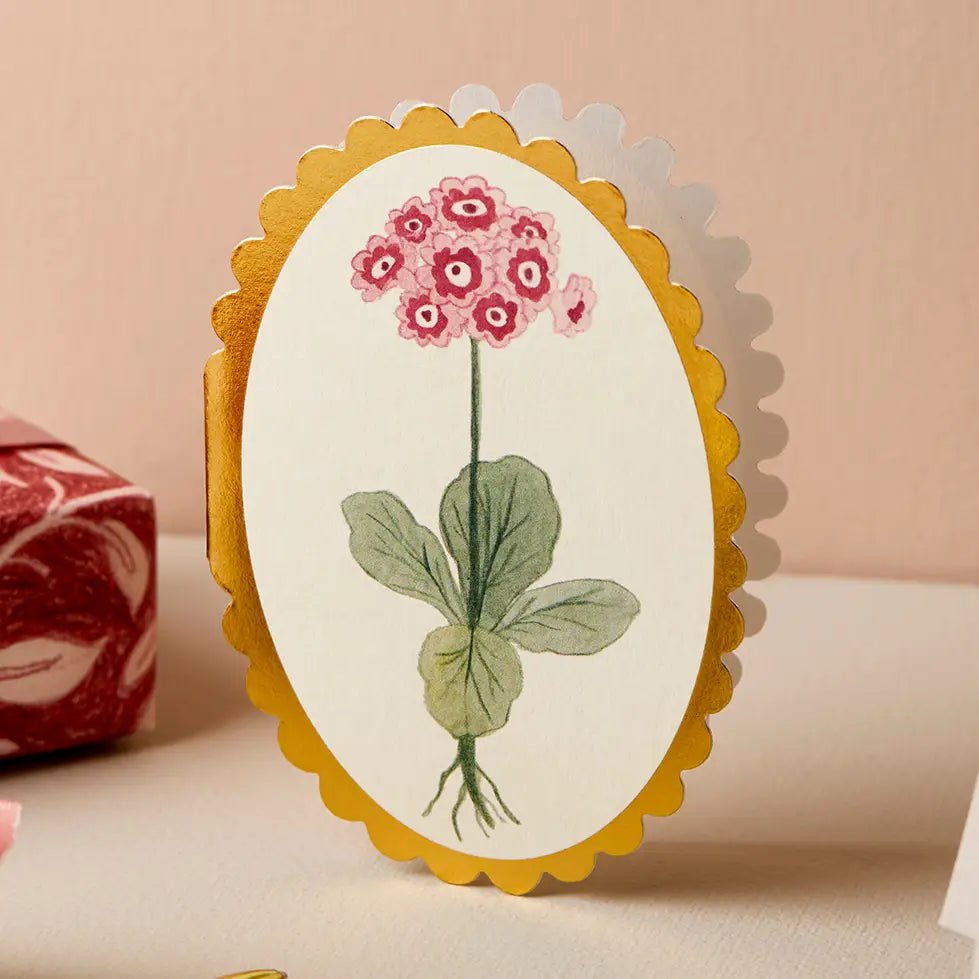 Auricula Mini Card - Apricity Ceramics