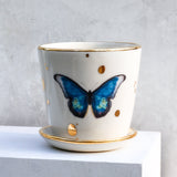 Blue Morpho Butterfly Medium Planter - Apricity Ceramics