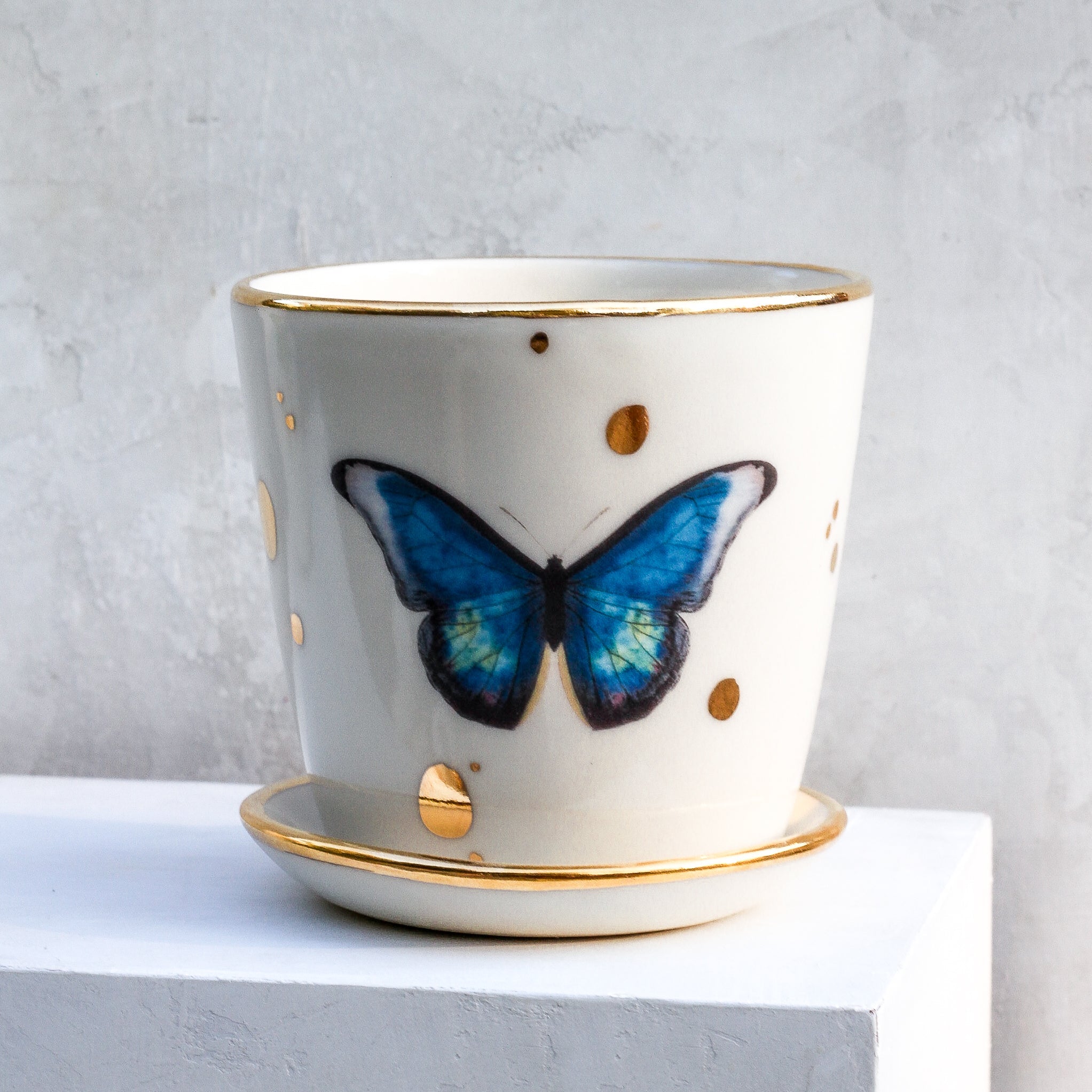 Blue Morpho Butterfly Medium Planter - Apricity Ceramics