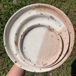 Drops of Honey Bee Dessert Plate (MADE TO ORDER) - Apricity Ceramics