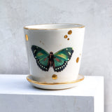 Emerald Green Butterfly Medium Planter - Apricity Ceramics