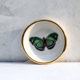Green Butterfly Trinket Dish - Apricity Ceramics