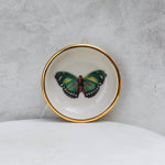 Green Butterfly Trinket Dish - Apricity Ceramics