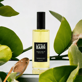 Jasmine Body Oil - Apricity Ceramics