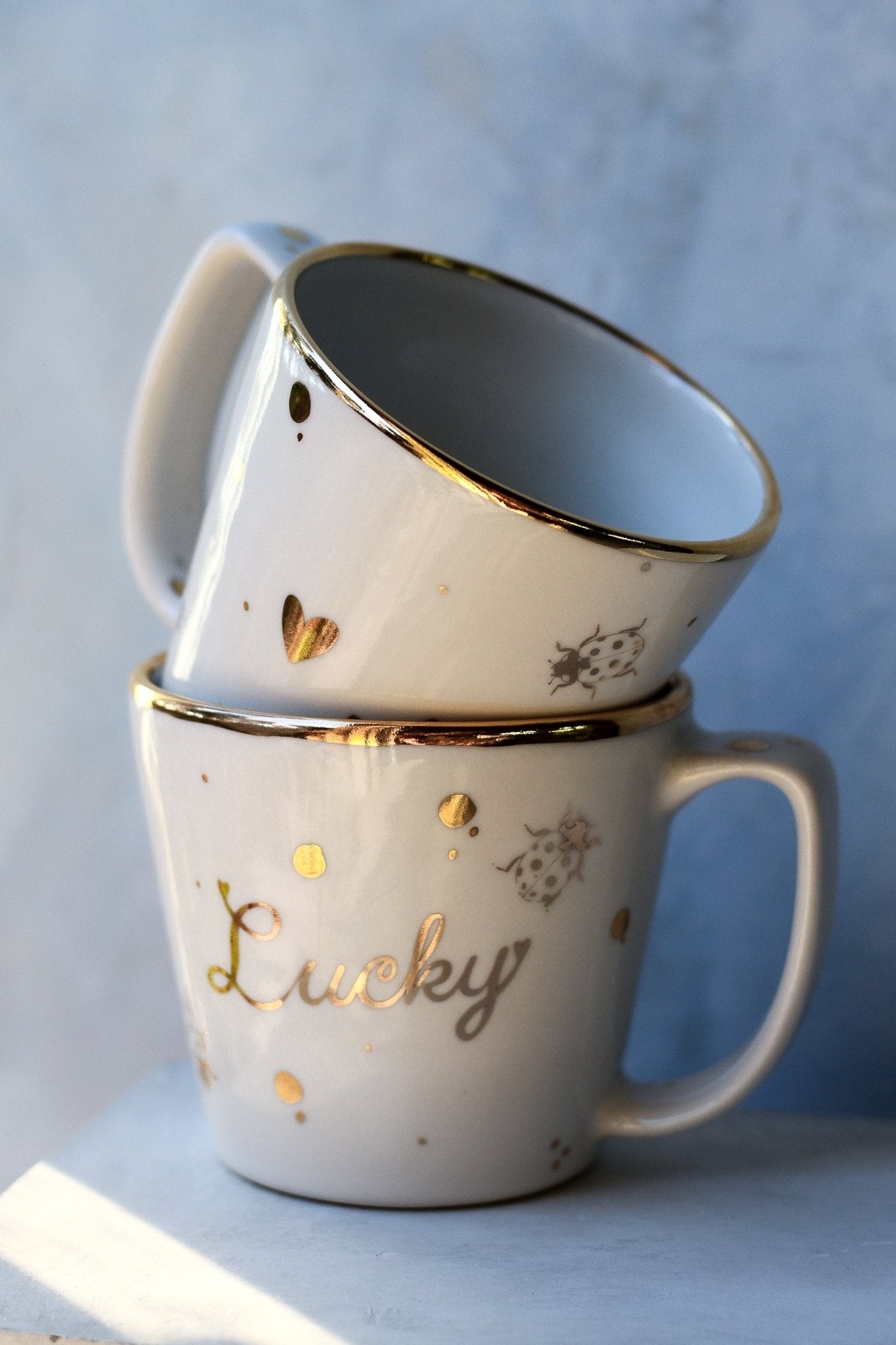Lucky Ladybug Mug - Apricity Ceramics