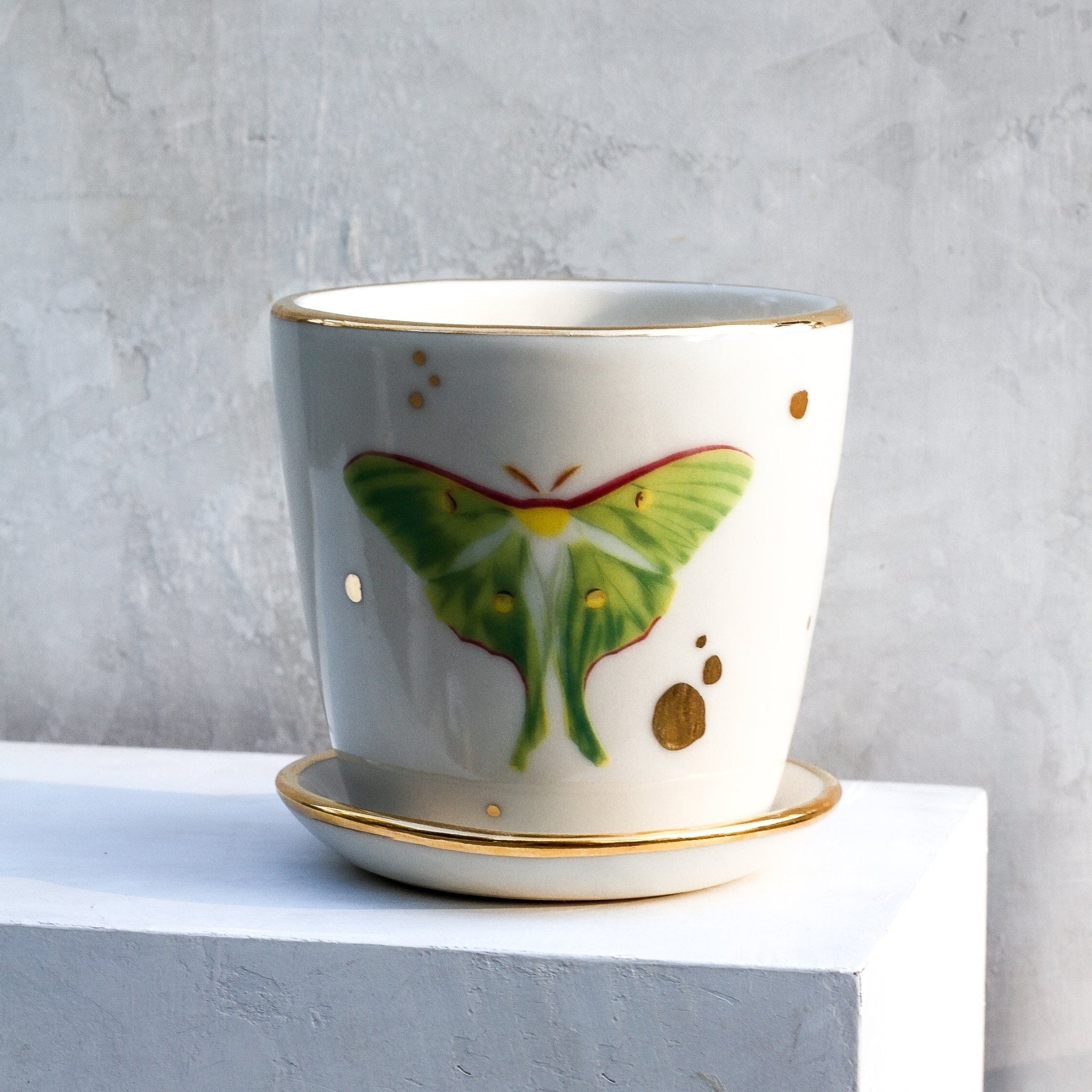 Luna Moth Butterfly Medium Planter - Apricity Ceramics