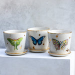 Luna Moth Butterfly Medium Planter - Apricity Ceramics