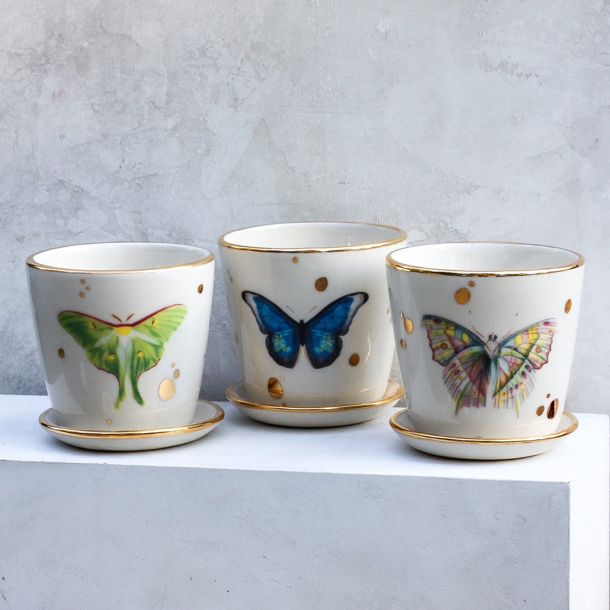 Luna Moth Butterfly Medium Planter - Apricity Ceramics