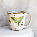 Luna Moth Mug - Apricity Ceramics