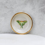 Luna Moth Trinket Dish - Apricity Ceramics