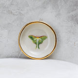 Luna Moth Trinket Dish - Apricity Ceramics