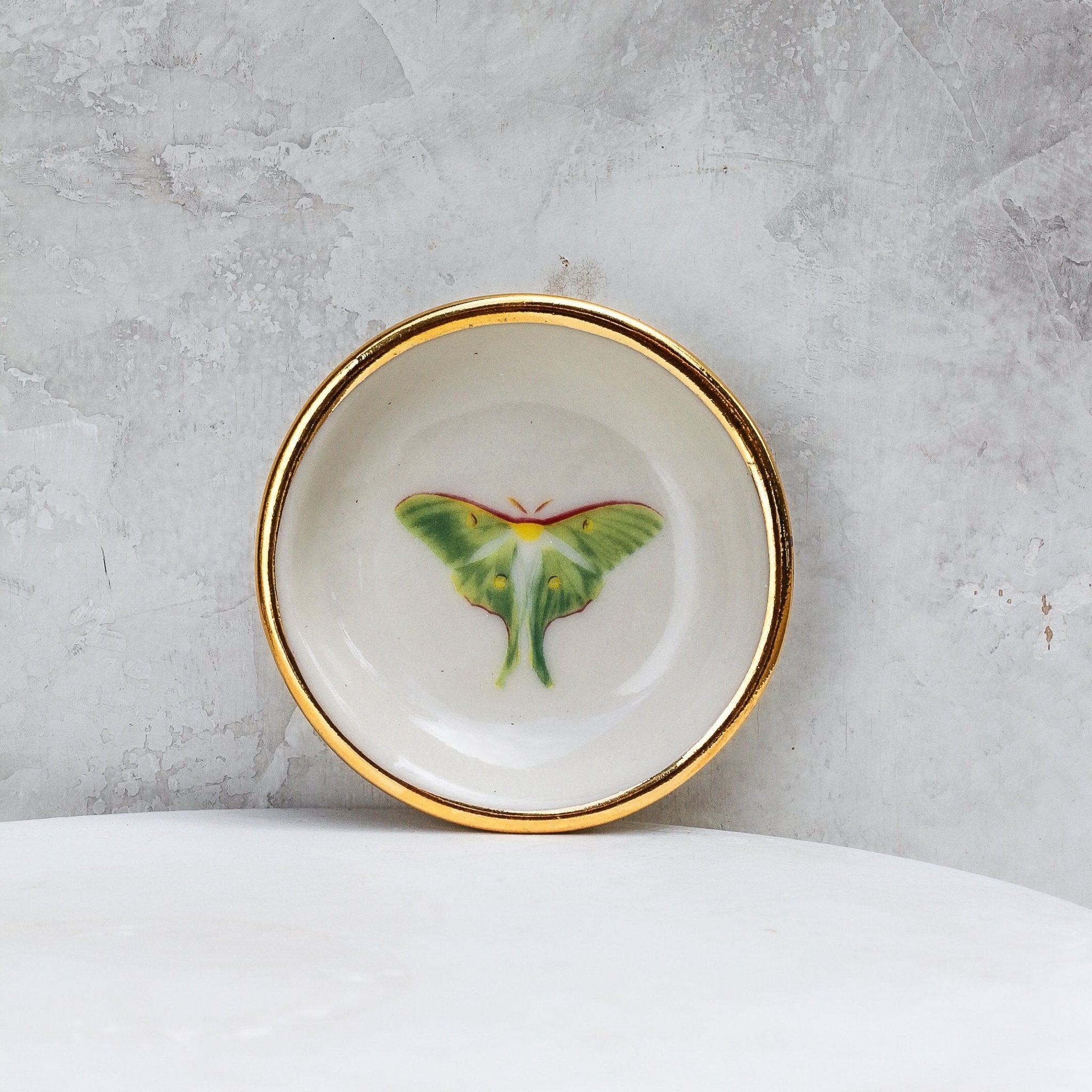 Luna Moth Trinket Dish - Apricity Ceramics