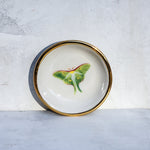 Luna Moth Trinket Dish - Apricity Ceramics