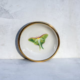 Luna Moth Trinket Dish - Apricity Ceramics