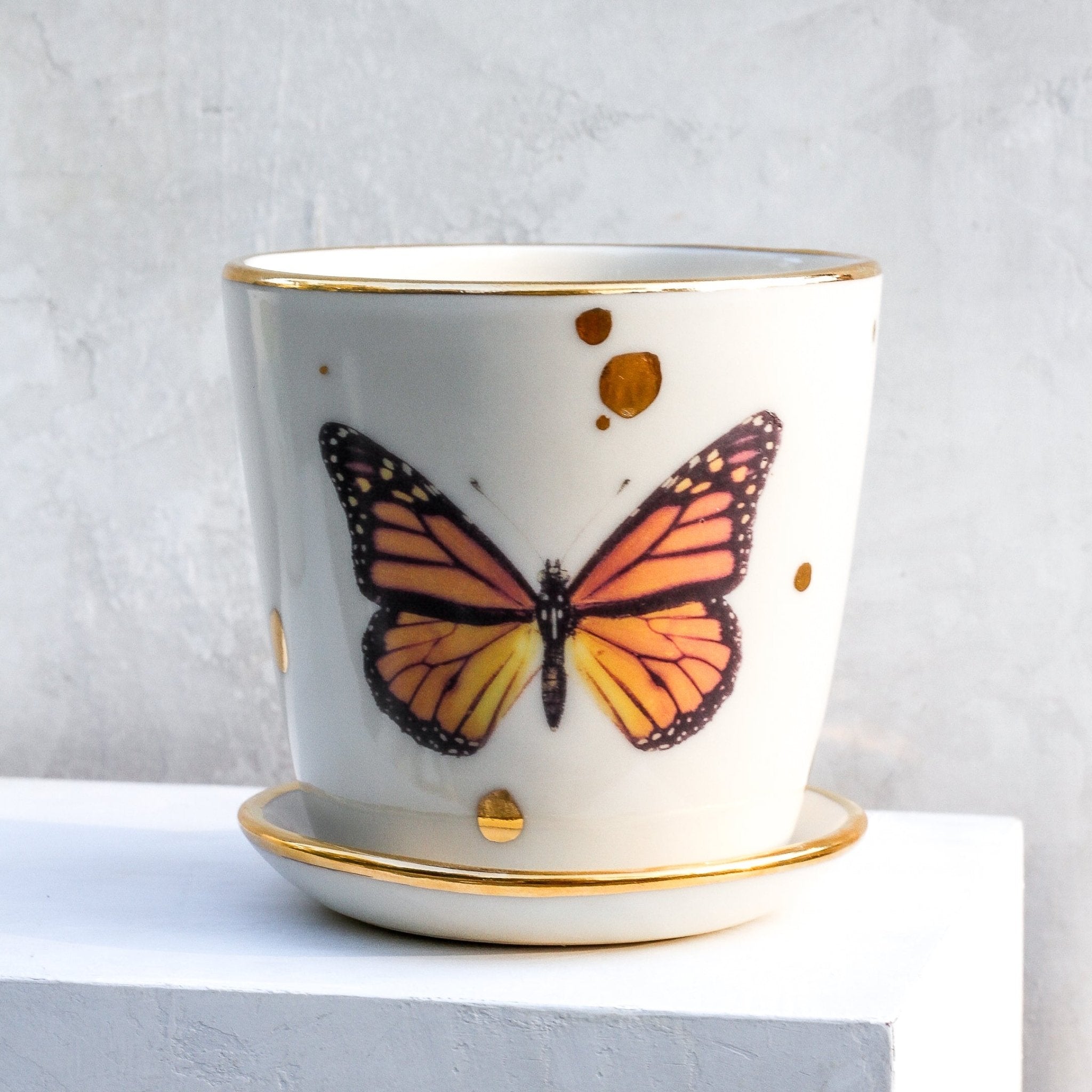 Monarch Butterfly Medium Planter - Apricity Ceramics