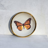 Monarch Butterfly Trinket Dish - Apricity Ceramics