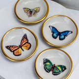 Monarch Butterfly Trinket Dish - Apricity Ceramics
