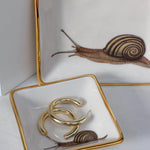 Snail Dish - Apricity Ceramics
