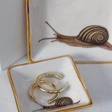 Snail Dish - Apricity Ceramics