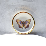 Vanessa Butterfly Trinket Dish - Apricity Ceramics