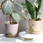 Butterfly Plant Animal - Apricity Ceramics