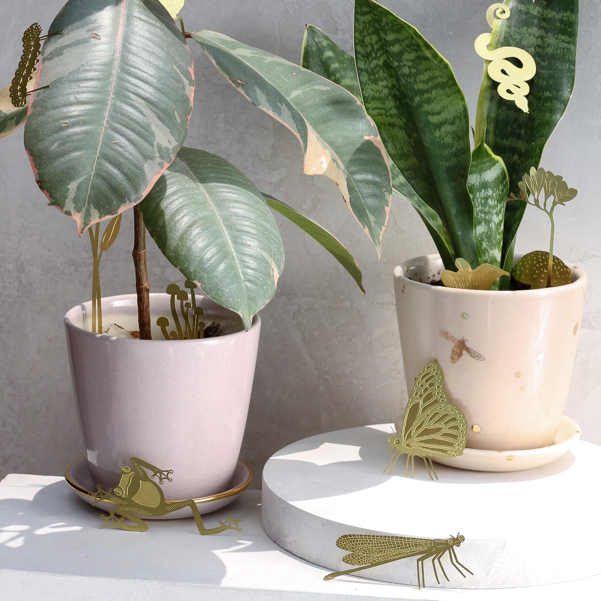 Butterfly Plant Animal - Apricity Ceramics