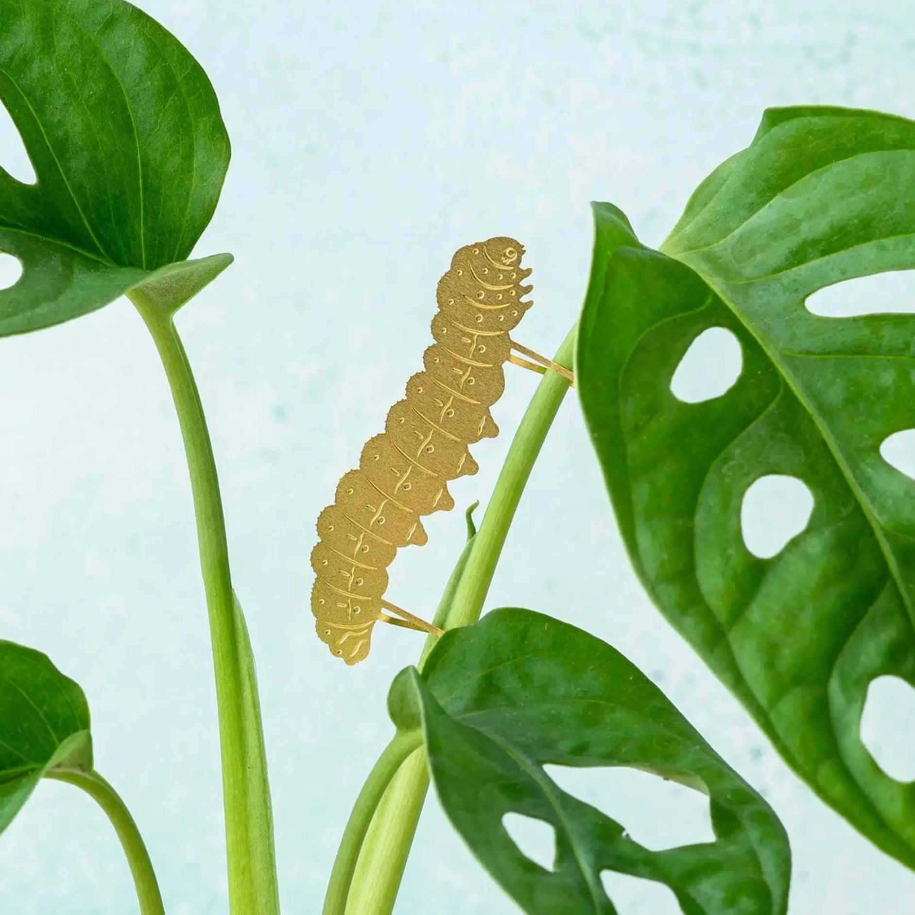 Caterpillar Plant Animal - Apricity Ceramics