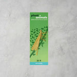 Damselfly Plant Animal - Apricity Ceramics
