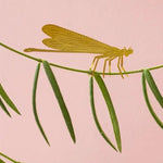 Damselfly Plant Animal - Apricity Ceramics