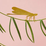 Damselfly Plant Animal - Apricity Ceramics