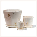 Drops of Honey Bee Large Planter - Apricity Ceramics 