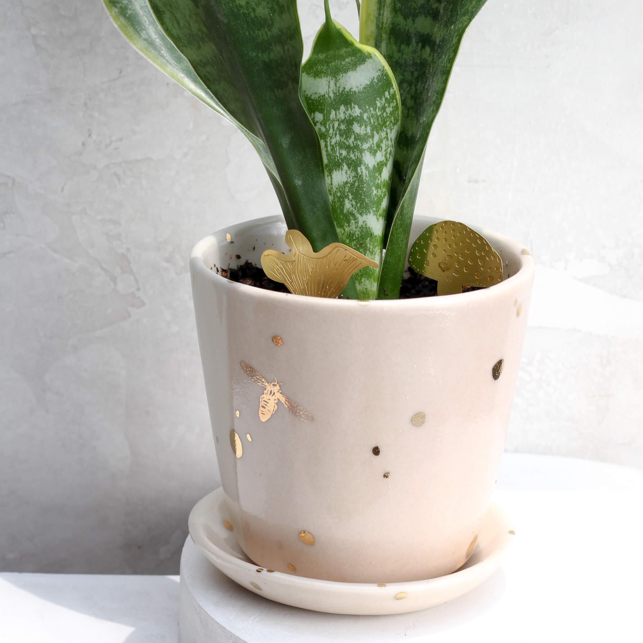 Drops of Honey Collection Bee Planter with plant and mini mushrooms