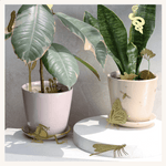 Medium Planters with plant animals