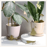 Medium Planters with plant animals