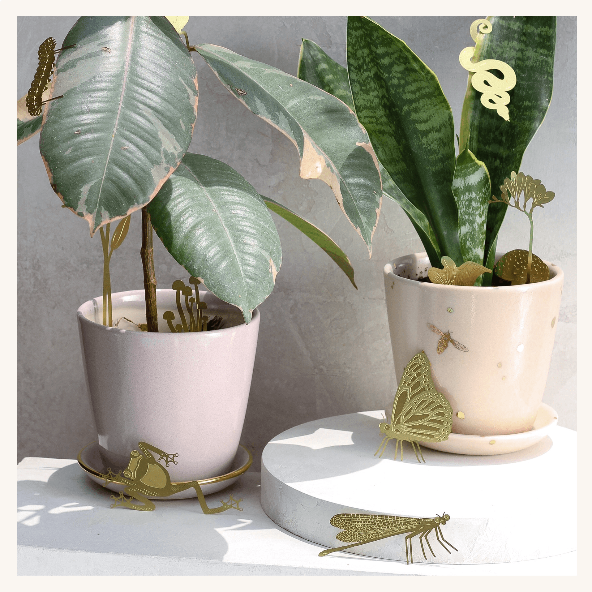 Medium Planters with plant animals