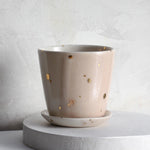 Drops of Honey Bee Medium Planter - Apricity Ceramics