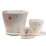 Drops of Honey Bee Medium Planter - Apricity Ceramics