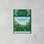 Houseplant Care Cards, Botanical Tips & Advice - Apricity Ceramics
