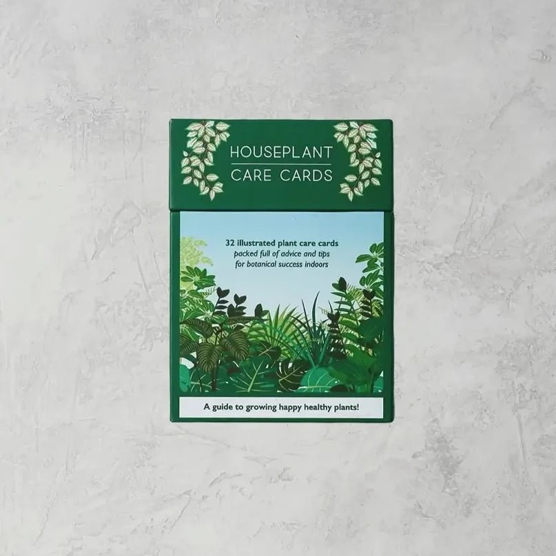 Houseplant Care Cards, Botanical Tips & Advice - Apricity Ceramics