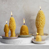 Large Morel Beeswax Candle - Apricity Ceramics