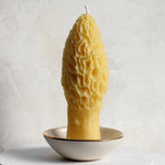 Large Morel Beeswax Candle - Apricity Ceramics