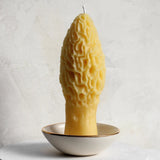 Large Morel Beeswax Candle - Apricity Ceramics