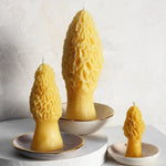 Large Morel Beeswax Candle - Apricity Ceramics