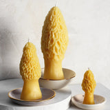 Large Morel Beeswax Candle - Apricity Ceramics