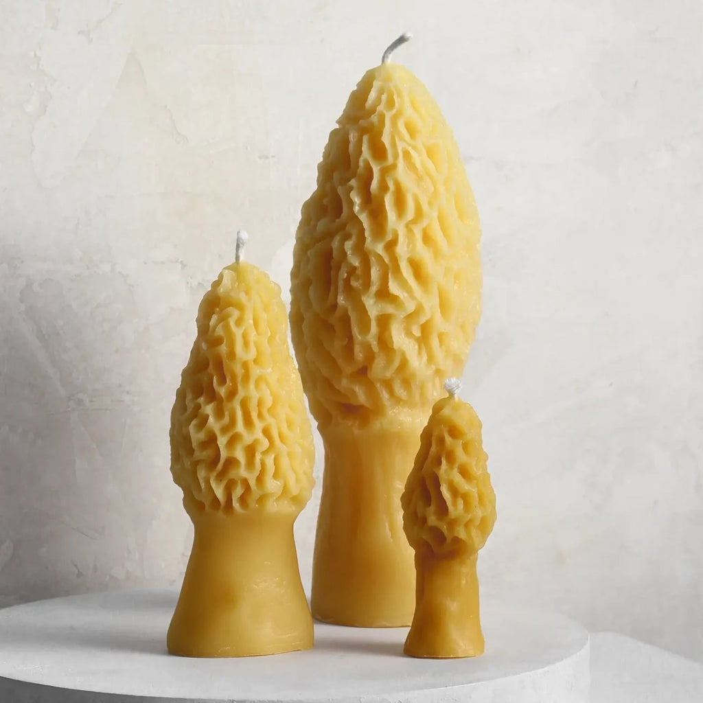 Beeswax Morel candles in 3 sizes 